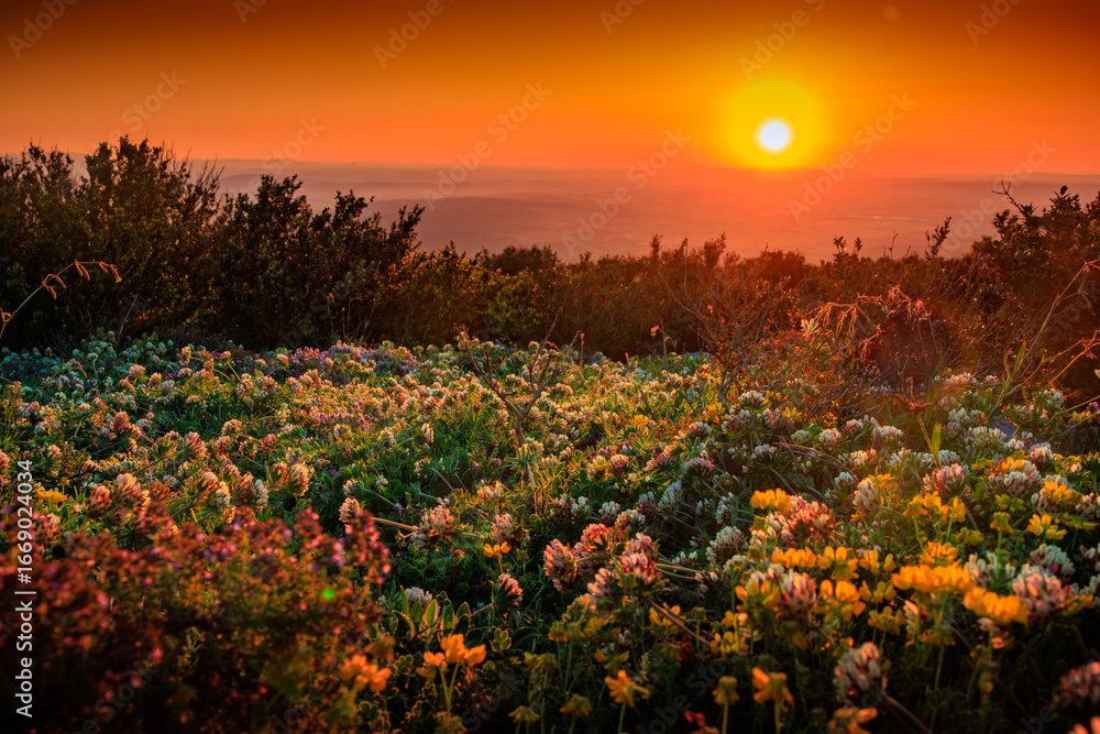 Fototapeta premium Sunrise from the top of Mount Alaric in the Aude. View from the top of a mountain in the South of France over the Occitanie plain.