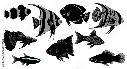 Black and White Aquatic Art: Diverse Fish Collection Isolated
