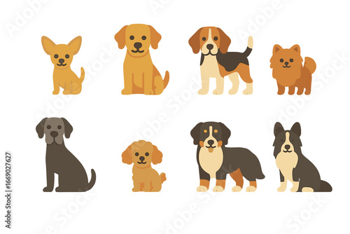 Dog Breeds Grid. Flat vector mini-illustrations dog breeds by size in colors children's illustrations: small dog, medium dog,