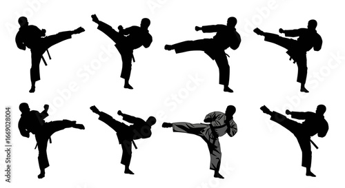 Martial Arts Master: Kicking Techniques in Dynamic Silhouettes, One in Gray