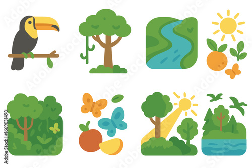 Tropical and Antarctic Migration. Flat vector mini-illustrations toucan habitat in colors children's illustrations: rainforest