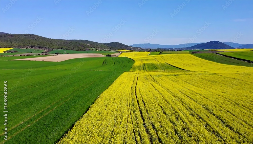 Obraz premium Vibrant Spring Fields Aerial View.