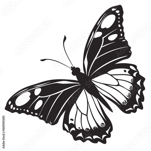 Butterfly wings glowing in frozen portal silhouette