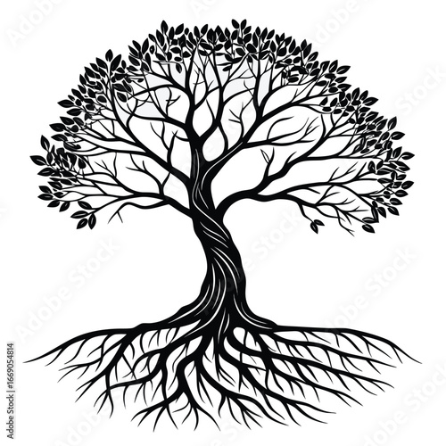 Tree roots forming spiral throne silhouette