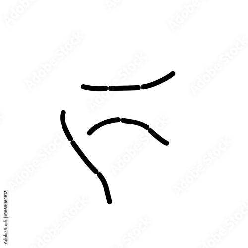probiotic lactobacillus bacteria icon