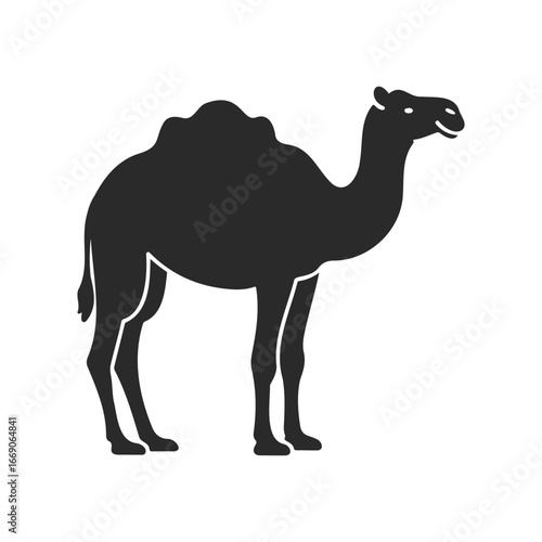 Silhouette of a single-humped camel standing side view
