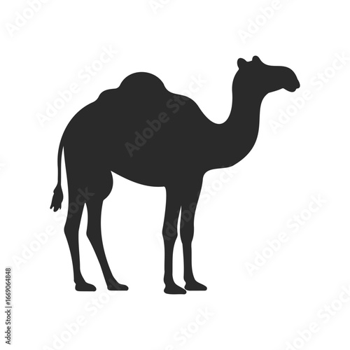 Silhouette of a single-humped camel on white background
