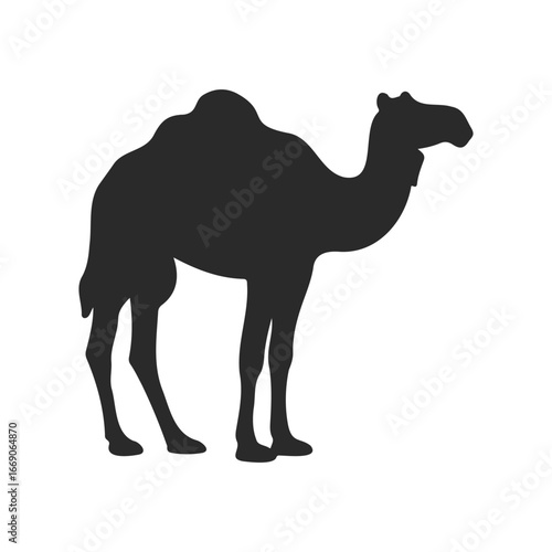 Silhouette of a standing camel in profile view with humps and long legs