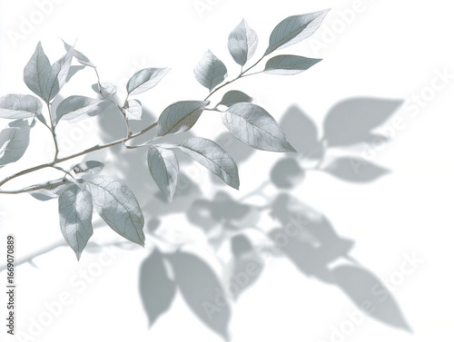 Wallpaper Mural Minimalist photograph of a branch with elongated, curved leaves, presented against a soft, long shadow in an overcast setting Leaves are fresh and possibly damp or dewy, against a mute - AI-Generated Torontodigital.ca