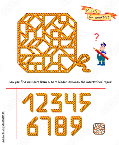 Can you find numbers from 1 to 9 hidden between the intertwined ropes? Logic puzzle game for children and adults. Game Seek and Find. Task for attentiveness. Brain teaser book. Hand drawn vector image