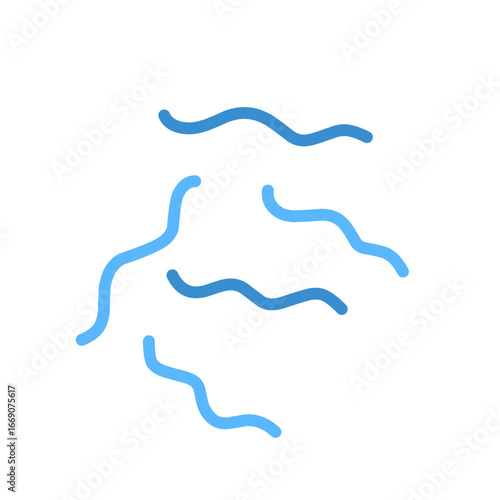 Spirillum bacteria