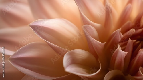 Wallpaper Mural Delicate, close-up view of a dahlia flower's petals, showcasing soft, pastel shades of pink and peach, with a gentle light highlighting the delicate texture. Torontodigital.ca