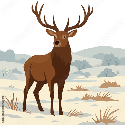 A male European noble deer is feeding and observing its surroundings in a forest glade during autumn