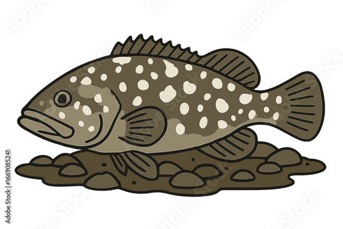 The burbot, or Lota lota, is a swimming freshwater fish found in clear mountain creeks, showcasing its beautiful river habitat through underwater photography as a wild life animal