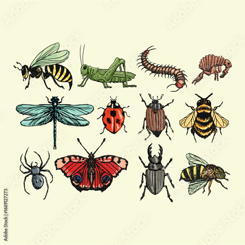 Cute Cartoon Bees Ladybugs and Spiders Vector Collection