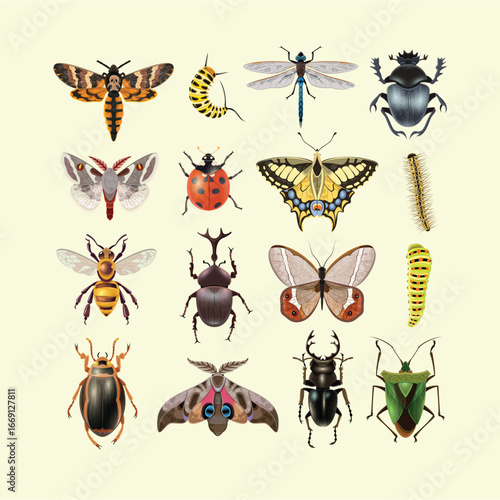 Cute Cartoon Bees Ladybugs and Spiders Vector Collection