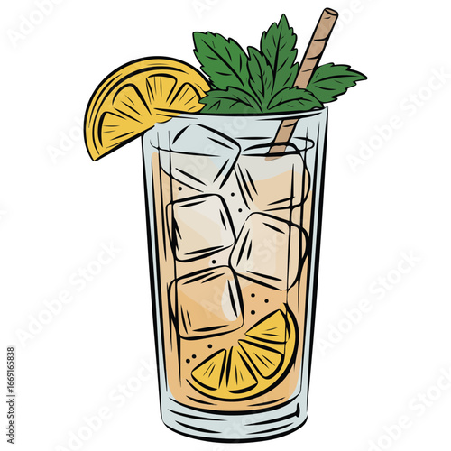 Summer iced tea drink with lemon slice and mint leaves vector illustration on white background