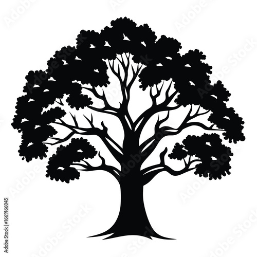 Silhouette of a majestic tree with full foliage against a white background