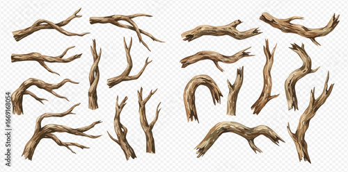 A realistic collection of various dry, bare, and twisted tree branches and sticks isolated on a transparent background.