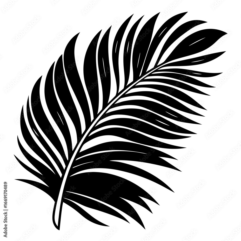 Fototapeta premium Simple Monochrome Palm Frond Illustration on White Background for Graphic Design