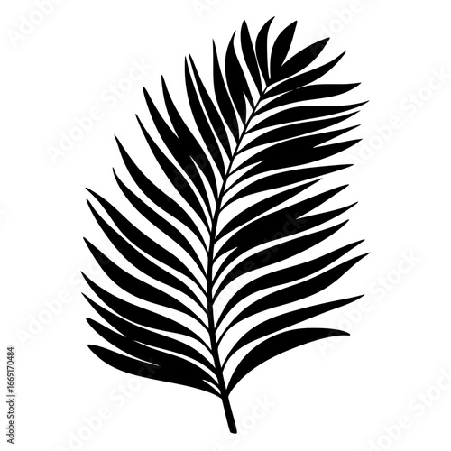 Elegant silhouette of a tropical palm frond against a clean white background