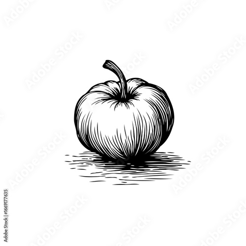 Artistic drawing of pumpkin offering a stylized impression perfect as illustrative autumnal