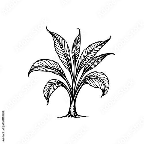 Delicate foliage artwork conveying a sense of botanical elegance in a natural simplicity and fresh