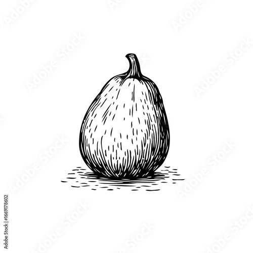 Detailed drawing of a lone pumpkin showcasing intricate linework and tonal variations creating an