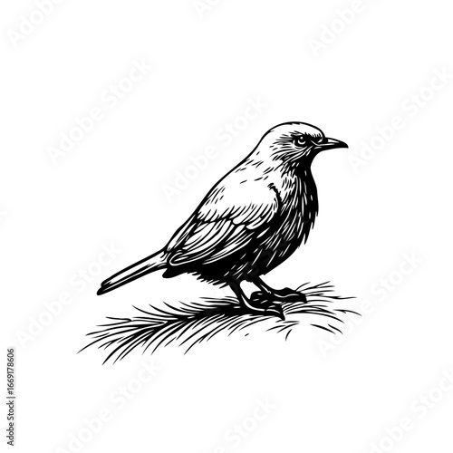Detailed depiction of a small bird perched on leaves showcasing fine artistic rendering techniques