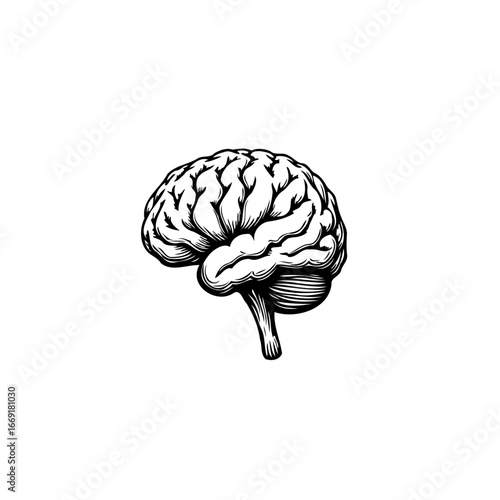 Intricate brain engraving illustration exploring mental capacity symbolizing intelligence and