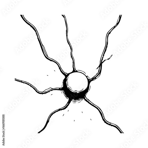 Intricate hand drawn neuron cell depicting the complexity and connectivity of the human nervous