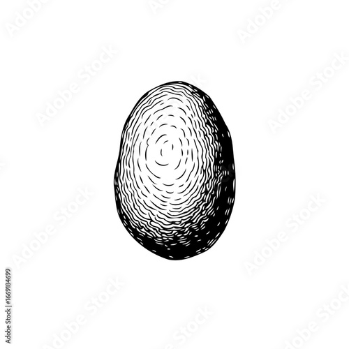 Unique potato illustration displaying earthy textures and organic form showcases the charm of
