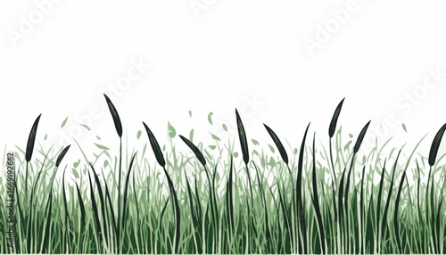 Green grass isolated on white