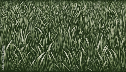 Green grass isolated on white