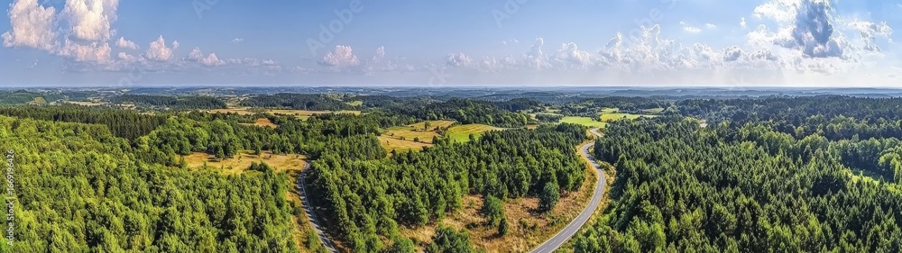 Naklejka premium An expansive panoramic view showcases a lush green forest and winding road beneath a bright blue sky.