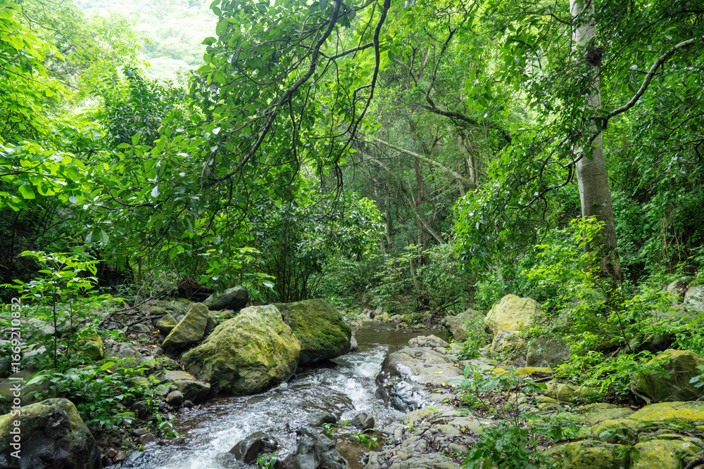 Obraz premium SENDERISMO