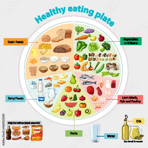 Balanced Healthy Eating Plate Vector Infographic Illustration