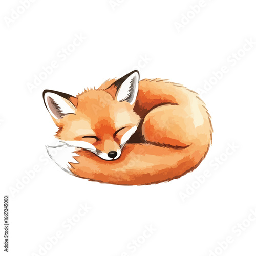 Peaceful Sleeping Fox Watercolor. An endearing slumbering canine curled up, radiating a sense of calm. This charming artistic rendition evokes warmth and rest.