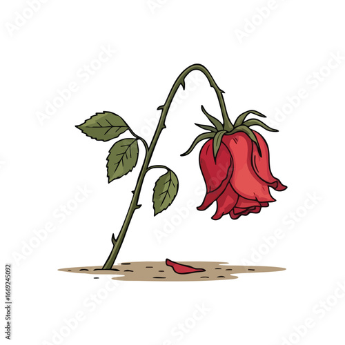 Fading Red Rose Aching With Loss. A solitary scarlet blossom gently bows, its vibrant color dimming. A single delicate piece has fallen, conveying profound feelings of fragility, sorrow, and ending.