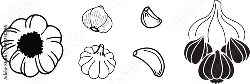 Stylized Monochrome Vector Graphic Featuring Various Depictions of Garlic Heads and Cloves.