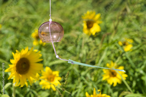 Wallpaper Mural ヒマワリガーデンに風鈴 Torontodigital.ca