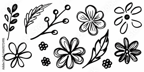 Hand Drawn Black Botanical Elements and Flowers on White Background floral berry