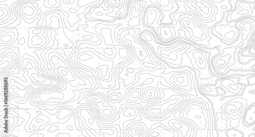 Topographic contour map. similarcartography illustration. Business concept. Fish Fillet Texture, Salmon fillet texture, fish pattern. paper texture  