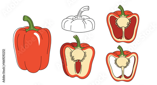 Vibrant red bell pepper isolated, halved and whole for cooking and healthy lifestyle content creation
