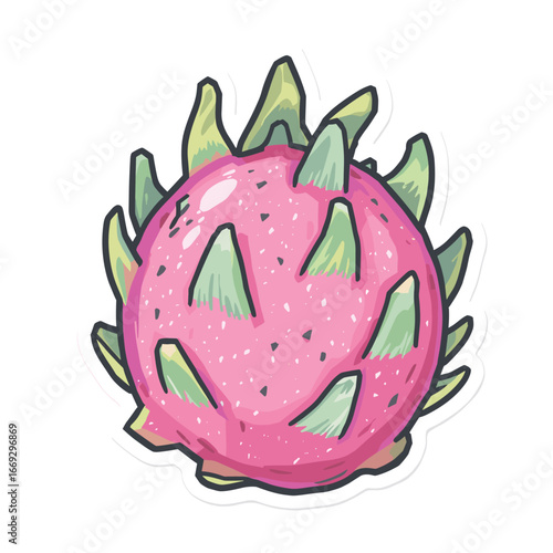 Watercolor Handdrawn Detailed Dragon Fruit Tropical Summer Food Illustration