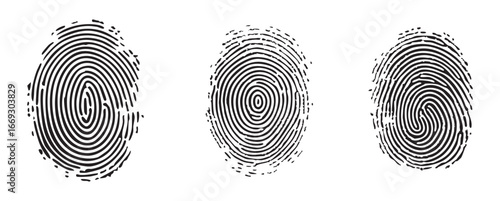 Unique fingerprint vector illustration. Black biometric pattern. Identity scan texture for forensic and security design.