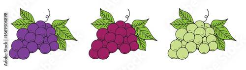 3色のぶどうのイラストセット