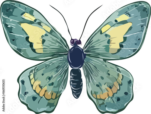 Butterfly vector art