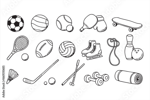 Vector Illustration of Balls Rackets and Fitness Equipment