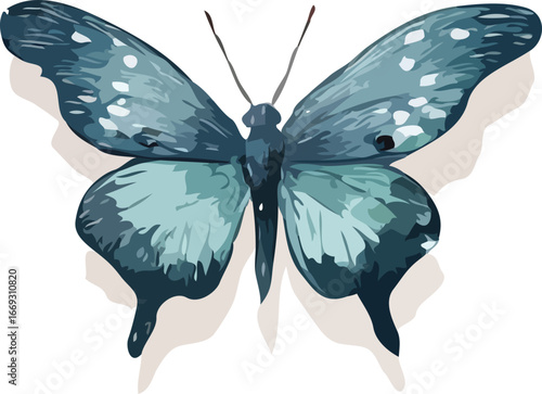 Butterfly vector art